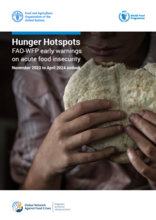 Hunger Hotspots: FAO-WFP early warnings on acute food insecurity, November 2023 to April 2024 outlook